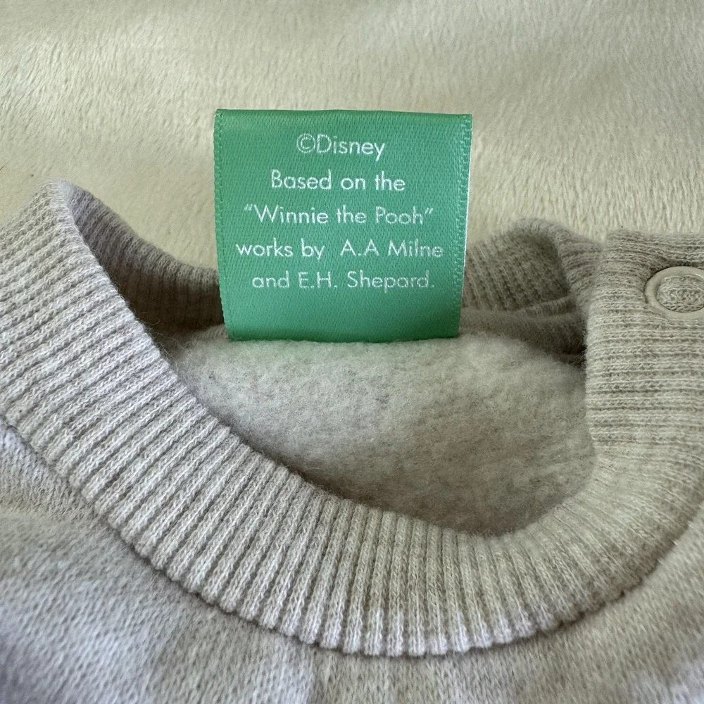 Disney Baby Winnie the Pooh & Friends Graphic Sweatshirt Shoulder Button Newborn